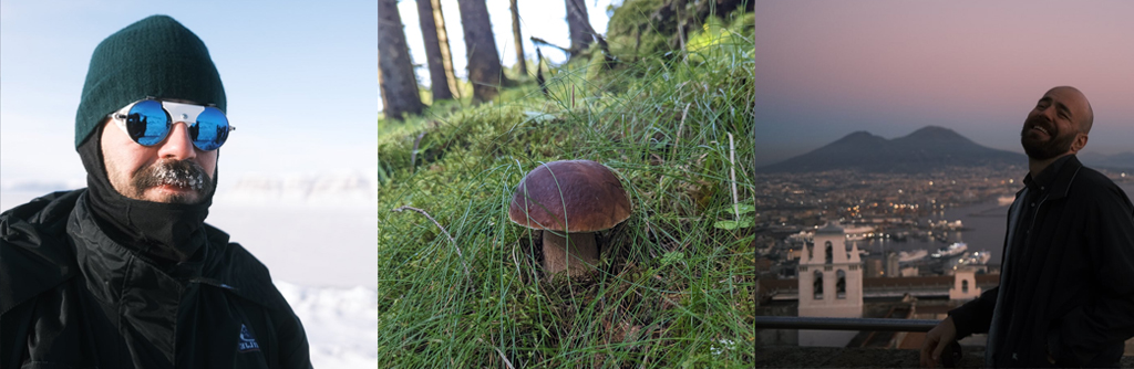 Bilde av William på Svalbard, en sopp i skogen og William i Pompei.